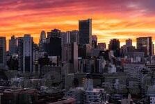成人网视频在在线观看-成人网视频，在线观看的利与弊