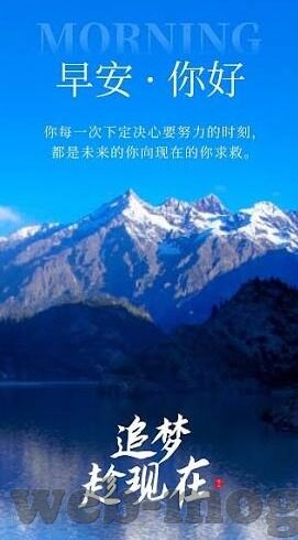 大象传媒官网地址-探索大象传媒，创意与传播的交汇点