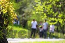 大象传媒网址是什么-探索大象传媒的数字门户，一个创意与信息交汇的虚拟空间