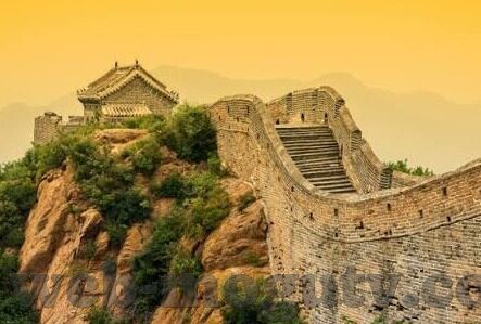 大象回家视频隐藏-神秘之旅，大象回家视频背后的隐藏故事