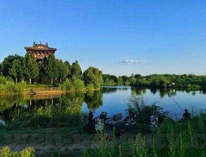 大象视频app最新下载www-探索大象视频APP，最新下载指南与体验分享