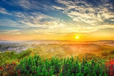 丰满的已婚人妻-丰满的已婚人妻，生活中的多面风景