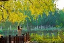 麻豆传媒综艺节目-麻豆传媒，综艺节目新风向的引领者