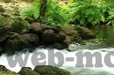 麻豆在线视频-麻豆在线视频，新媒体时代下的内容探索与创新实践