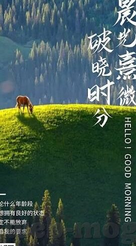 vlog糖心视频官网-探索数字娱乐的新航程，Vlog糖心视频官网的魅力之旅